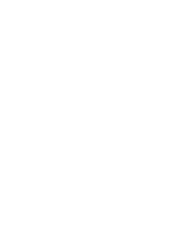 Logo Navona Sky Palace